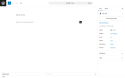 Page screenshot: Add Post &lsaquo; Test site &mdash; WordPress