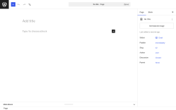 Page screenshot: Add Page &lsaquo; Test site &mdash; WordPress
