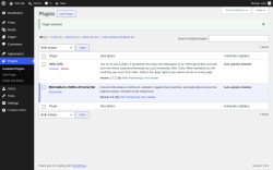 Page screenshot: Plugins &lsaquo; Test site &mdash; WordPress