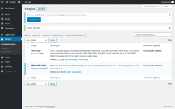 Page screenshot: Plugins &lsaquo; Test site &mdash; WordPress