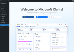 Page screenshot: Clarity