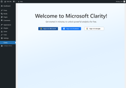 Page screenshot: microsoft-clarity &lsaquo; Test site &mdash; WordPress