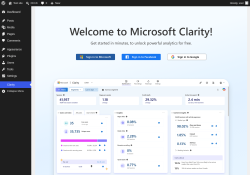 Page screenshot: microsoft-clarity &lsaquo; Test site &mdash; WordPress