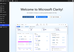 Page screenshot: microsoft-clarity &lsaquo; Test site &mdash; WordPress