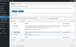 Page screenshot: Plugins &lsaquo; Test site &mdash; WordPress