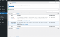 Page screenshot: Plugins &lsaquo; Test site &mdash; WordPress