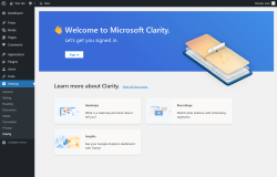 Page screenshot: Settings &rarr; Clarity
