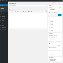 Page screenshot: Add New Post &lsaquo; Test site &mdash; WordPress