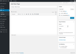Page screenshot: Add New Page &lsaquo; Test site &mdash; WordPress