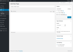 Page screenshot: Add New Page &lsaquo; Test site &mdash; WordPress