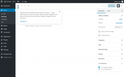 Page screenshot: Add New Post &lsaquo; Test site &mdash; WordPress