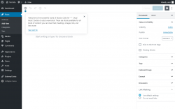 Page screenshot: Add New Post &lsaquo; Test site &mdash; WordPress