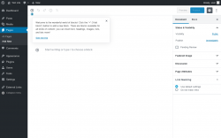 Page screenshot: Add New Page &lsaquo; Test site &mdash; WordPress
