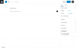 Page screenshot: Add New Page &lsaquo; Test site &mdash; WordPress