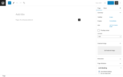 Page screenshot: Add New Page &lsaquo; Test site &mdash; WordPress