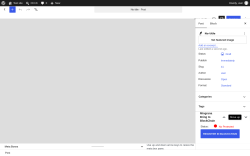 Page screenshot: Add Post &lsaquo; Test site &mdash; WordPress