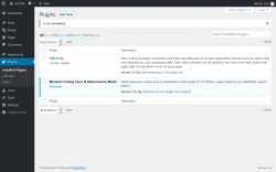 Page screenshot: Plugins &lsaquo; Test site &mdash; WordPress