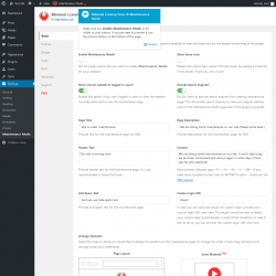 Page screenshot: Settings  &rarr; Maintenance Mode