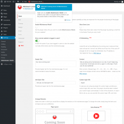 Page screenshot: Settings  &rarr; Maintenance Mode
