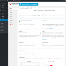 Page screenshot: Settings &rarr; Maintenance Mode