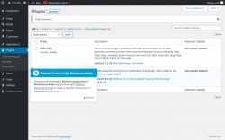Page screenshot: Plugins &lsaquo; Test site &mdash; WordPress