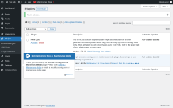 Page screenshot: Plugins ‹ Test site — WordPress