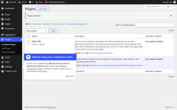 Page screenshot: Plugins &lsaquo; Test site &mdash; WordPress