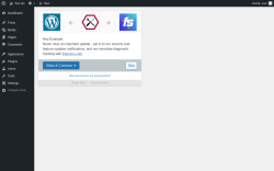 Page screenshot: ‹ Test site — WordPress