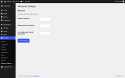 Page screenshot: Settings &rarr; Mixpanel Options
