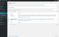 Page screenshot: Plugins &lsaquo; Test site &mdash; WordPress