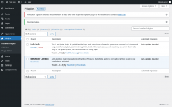 Page screenshot: Plugins &lsaquo; Test site &mdash; WordPress