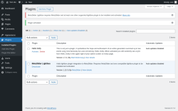 Page screenshot: Plugins &lsaquo; Test site &mdash; WordPress