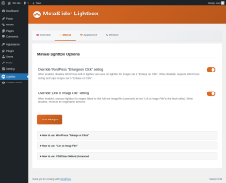 Page screenshot: Lightbox &rarr; 
                     Manual                