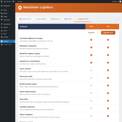 Page screenshot: Lightbox &rarr; 
                    ⭐ Upgrade to Pro                