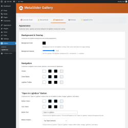 Page screenshot: Gallery &rarr; Lightboxes &rarr; 
                    🎨 Appearance                