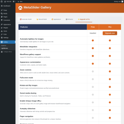 Page screenshot: Gallery &rarr; Lightboxes &rarr; 
                    ⭐ Upgrade to Pro                