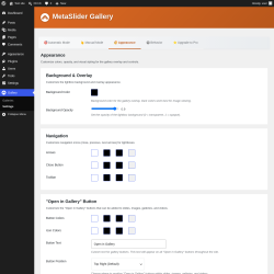 Page screenshot: Gallery &rarr; Settings &rarr; 
                    🎨 Appearance                
