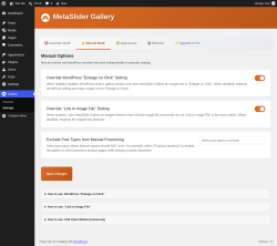 Page screenshot: Gallery &rarr; Settings &rarr; 
                    👆 Manual Mode                