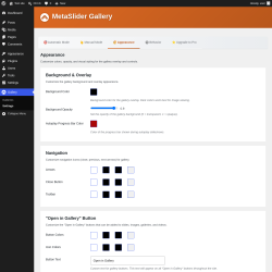 Page screenshot: Gallery &rarr; Settings &rarr; 
                    🎨 Appearance                