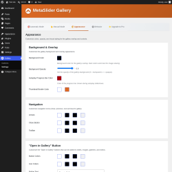 Page screenshot: Gallery &rarr; Settings &rarr; 
                    🎨 Appearance                