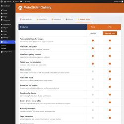 Page screenshot: Gallery &rarr; Settings &rarr; 
                    ⭐ Upgrade to Pro                