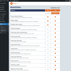 Page screenshot: MetaSlider → Upgrade to Pro