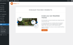 Page screenshot: MetaSlider → Theme Editor