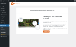 Page screenshot: MetaSlider &rarr; Theme Editor