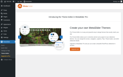 Page screenshot: MetaSlider &rarr; Theme Editor