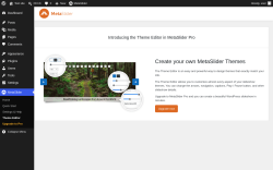 Page screenshot: MetaSlider &rarr; Theme Editor