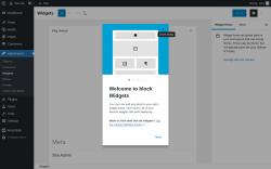 Page screenshot: Widgets &lsaquo; Test site &mdash; WordPress