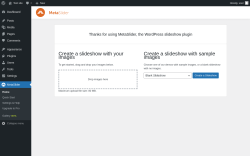 Page screenshot: MetaSlider