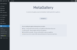 Page screenshot: MetaSlider &rarr; Gallery