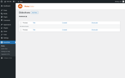 Page screenshot: MetaSlider